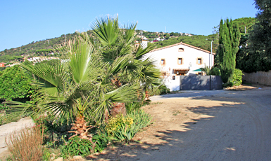 Fanals - Castell d'Aro